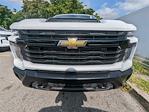 New 2024 Chevrolet Silverado 2500 Work Truck Double Cab 4x2, Cab Chassis for sale #C240810 - photo 3