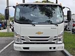 New 2025 Chevrolet LCF 3500HG Regular Cab 4x2, Cab Chassis for sale #C250198 - photo 4