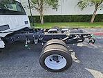 New 2024 Ford F-550 Crew Cab 4x4, Cab Chassis for sale #240584 - photo 3