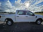 New 2024 Ford F-150 XL SuperCrew Cab 4x4, Pickup for sale #241345 - photo 3