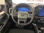 2024 Ford F-150 SuperCrew Cab 4x4, Pickup for sale #242197 - photo 11