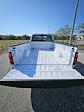 2024 Ford F-150 Regular Cab 4x2, Pickup for sale #242683 - photo 5