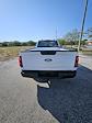 2024 Ford F-150 Regular Cab 4x2, Pickup for sale #242683 - photo 2
