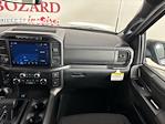 New 2024 Ford F-150 XLT SuperCrew Cab 4x4, Pickup for sale #244019 - photo 14