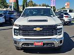 New 2024 Chevrolet Silverado 2500 Work Truck Regular Cab 4x2, Cab Chassis for sale #F422869 - photo 3