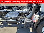 New 2024 Chevrolet LCF 3500HG Regular Cab 4x2, Cab Chassis for sale #F222009 - photo 3