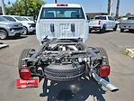 2024 Chevrolet Silverado 2500 Regular Cab 4x2, Cab Chassis for sale #F439857 - photo 14