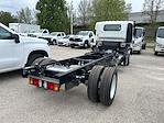 New 2024 Chevrolet LCF 5500HD Regular Cab 4x2, Cab Chassis for sale #R7902156 - photo 2