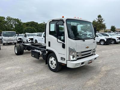 New 2024 Chevrolet LCF 5500HD Regular Cab 4x2, Cab Chassis for sale #R7902181 - photo 1