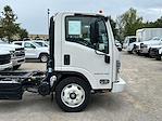 New 2024 Chevrolet LCF 5500HD Regular Cab 4x2, Cab Chassis for sale #R7902231 - photo 5