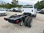 New 2024 Chevrolet Silverado 5500 Work Truck Regular Cab 4x4, Cab Chassis for sale #RH621080 - photo 2