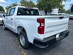 New 2024 Chevrolet Silverado 1500 Work Truck Crew Cab 4x2, Pickup for sale #RZ164245 - photo 5