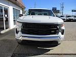 2023 Chevrolet Silverado 1500 Regular Cab 4x2, Pickup for sale #12316T - photo 3