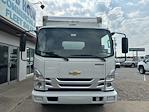 2025 Chevrolet LCF 4500HG Regular Cab 4x2, Knapheide Box Body Box Truck for sale #250005 - photo 6