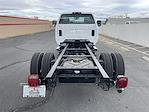 2023 Chevrolet Silverado 6500 Regular Cab DRW 4x2, Cab Chassis for sale #F232206 - photo 6