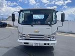 2024 Chevrolet LCF 5500XD Regular Cab 4x2, Cab Chassis for sale #F241037 - photo 1