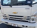 2024 Chevrolet LCF 5500XD Regular Cab 4x2, Cab Chassis for sale #F241057 - photo 16