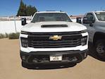 2024 Chevrolet Silverado 3500 Regular Cab 4x2, Cab Chassis for sale #F241125 - photo 2