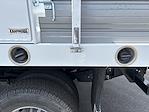 2024 Chevrolet Silverado 3500 Crew Cab 4x2, Knapheide Contractor Body Contractor Truck for sale #F241210 - photo 14