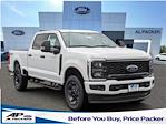 2024 Ford F-250 Crew Cab SRW 4WD, Pickup for sale #RED43807 - photo 1