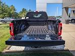 2024 Ford F-250 Crew Cab 4WD, Pickup for sale #REE89410 - photo 9