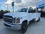 2023 Chevrolet Silverado 5500 Regular Cab DRW RWD, Service Truck for sale #PH828882 - photo 3