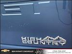 2024 Chevrolet Silverado 3500 Crew Cab 4WD, Pickup for sale #M296909 - photo 24
