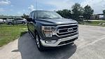 2023 Ford F-150 SuperCrew Cab 4x2, Pickup for sale #FN8522 - photo 3