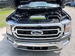 2023 Ford F-150 SuperCrew Cab 4x2, Pickup for sale #FN8522 - photo 24