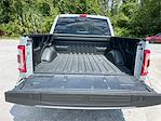 2023 Ford F-150 SuperCrew Cab 4x2, Pickup for sale #FN8756 - photo 23