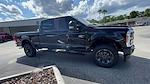2023 Ford F-250 Crew Cab SRW 4x4, Pickup for sale #FN8845 - photo 3