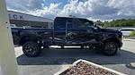2023 Ford F-250 Crew Cab SRW 4x4, Pickup for sale #FN8845 - photo 9