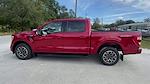 2023 Ford F-150 SuperCrew Cab 4x2, Pickup for sale #FN8889A - photo 6