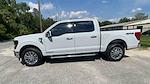 New 2024 Ford F-150 XLT SuperCrew Cab 4x4, Pickup for sale #FN9637 - photo 6