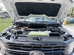 New 2024 Ford F-150 XLT SuperCrew Cab 4x4, Pickup for sale #FN9670 - photo 25