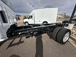 New 2023 Chevrolet Silverado 5500 Work Truck Crew Cab 4WD, Cab Chassis for sale #Y23972 - photo 2