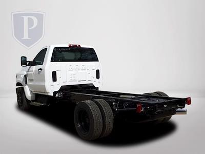 2024 Chevrolet Silverado 5500 Regular Cab DRW 4x2, Cab Chassis for sale #FK02634 - photo 2