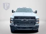 2024 Chevrolet Silverado 5500 Regular Cab DRW 4x2, Cab Chassis for sale #FK139689 - photo 3