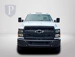 2023 Chevrolet Silverado 5500 Regular Cab DRW 4x2, Cab Chassis for sale #FK7390 - photo 3