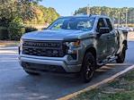 2024 Chevrolet Silverado 1500 Double Cab 4WD, Pickup for sale #N23558A - photo 5