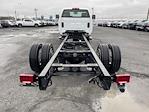 New 2023 Chevrolet Silverado 6500 LT Regular Cab RWD, Cab Chassis for sale #T29686 - photo 2