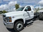 New 2024 Chevrolet Silverado 5500 Work Truck Regular Cab 4x2, Cab Chassis for sale #243856 - photo 1