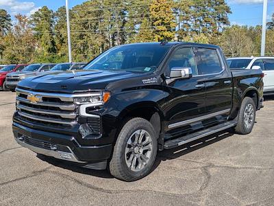 2025 Chevrolet Silverado 1500 Crew Cab 4x4, Pickup for sale #254270 - photo 1