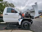 New 2023 Chevrolet Silverado 6500 Work Truck Regular Cab RWD, Cab Chassis for sale #23T563 - photo 24