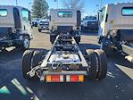 New 2024 Chevrolet LCF 5500HG Regular Cab RWD, Cab Chassis for sale #24T262 - photo 5