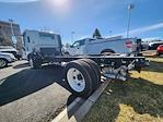 New 2024 Chevrolet LCF 5500HG Regular Cab RWD, Cab Chassis for sale #24T389 - photo 3