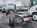 New 2024 Chevrolet LCF 4500HG Regular Cab RWD, Cab Chassis for sale #24T538 - photo 2