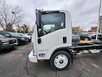 New 2024 Chevrolet LCF 4500HG Regular Cab RWD, Cab Chassis for sale #24T539 - photo 5