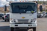 2024 Chevrolet LCF 4500HG Crew Cab 4x2, Wil-Ro Landscape Dump for sale #C213729 - photo 11