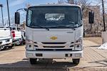 2024 Chevrolet LCF 4500HG Regular Cab RWD, Cab Chassis for sale #C220055 - photo 3
